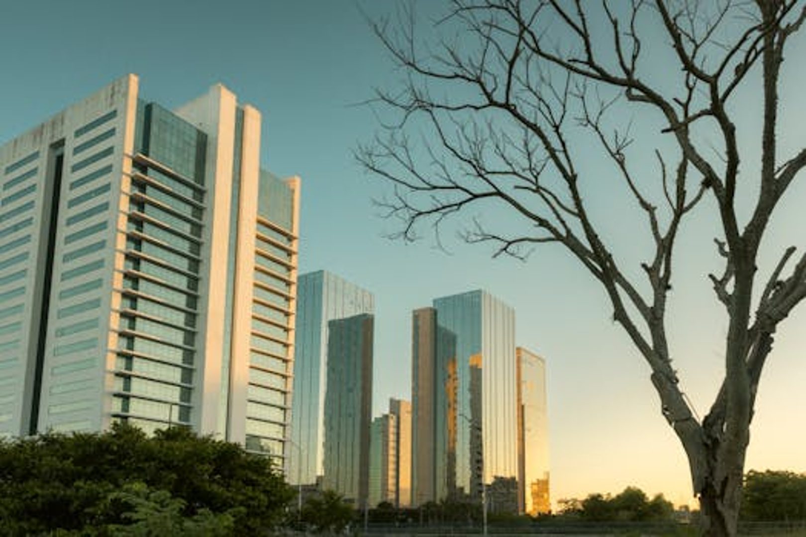 Symbol image of Porto Alegre