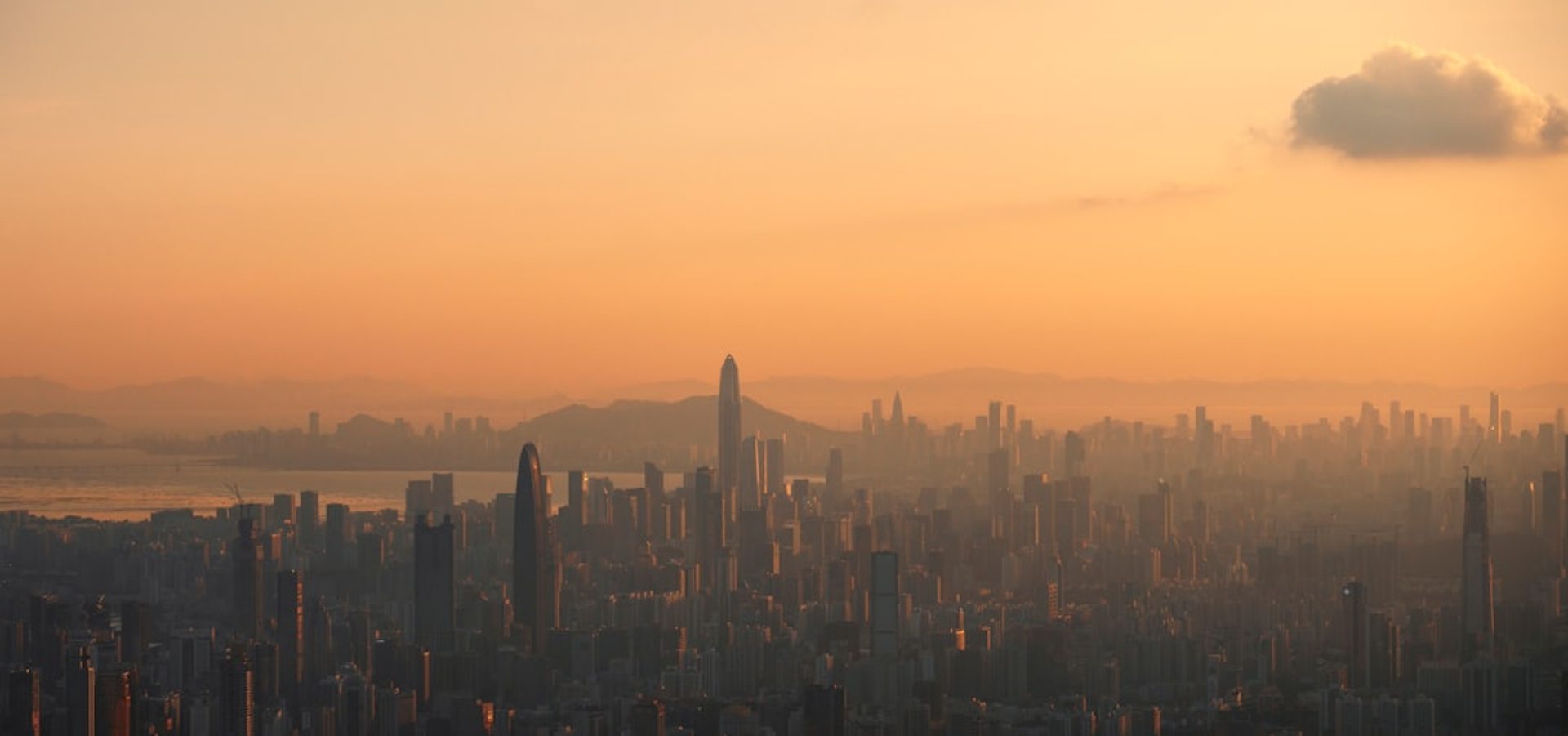 Symbol image of Shenzhen